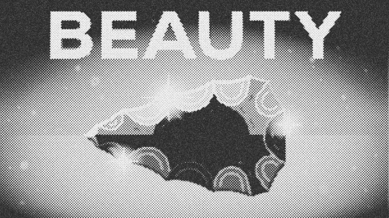 The Evolutionary Geometry of Joy: Why Beauty is a Biological Imperative