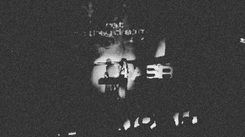 Decoding Animal Dreams: A Journey into the Sleeping Minds of Creatures Great and Small