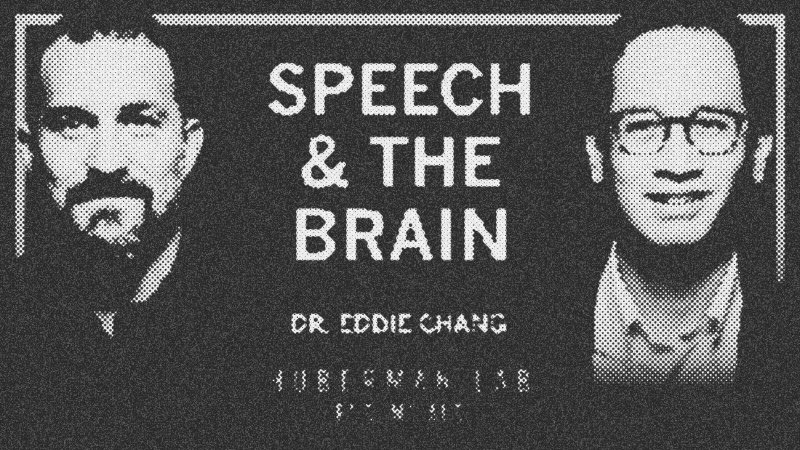 Eddie Chang decodes brain signals to restore speech for paralyzed patients