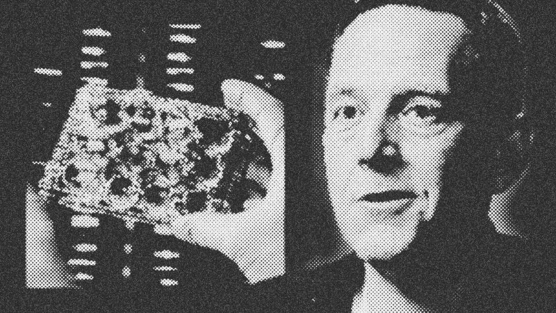 We Almost Have the Tech to Live Forever - David Friedberg