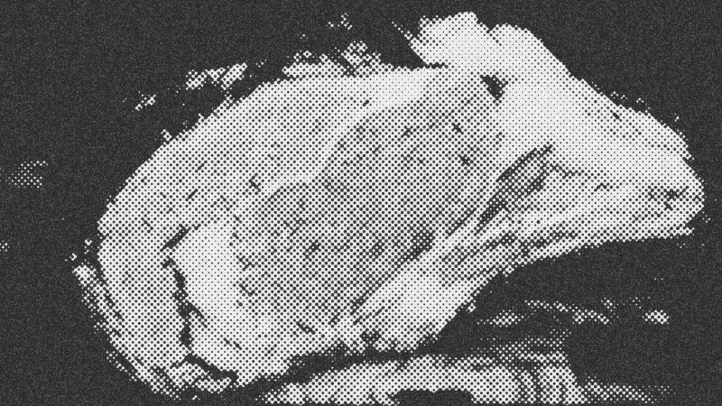 The Scribe's Manual: Achieving Culinary Mastery with the Prime Rib, Edge-to-Edge