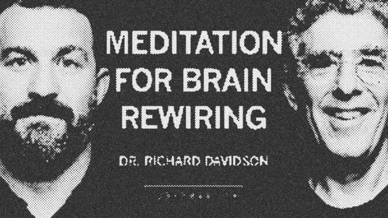 The Quantum Architecture of Consciousness: Rewiring the Human Brain through Meditation