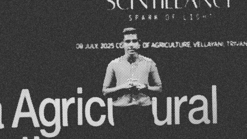 The Crossroads of Purpose: From Healing Patients to Healing Systems